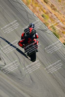 media/Oct-24-2025-2WTD (Fri) [[491f36c2bf]]/B Group/Session 3 (Turn 5)/